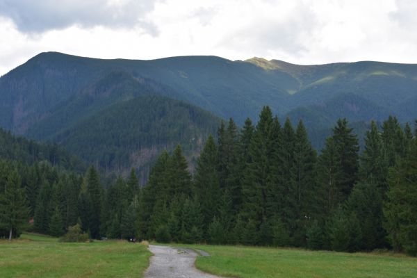 Ilustračn&eacute; foto Jozef Marko