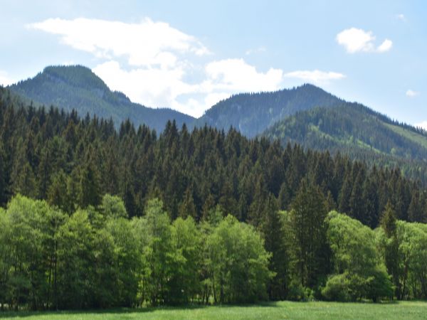 Ilustračné foto: Jozef Marko 