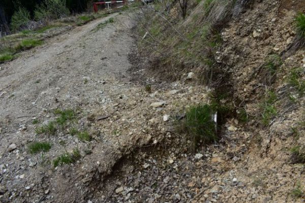 Lesná cesta z Trsteníka na Lojzovo s jedným z priepustov 