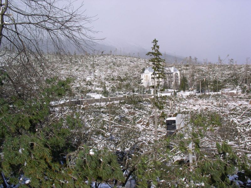 Vysoké Tatry po ničivej víchrici z 19. novembra 2004