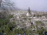 Vysoké Tatry po ničivej víchrici z 19. novembra 2004