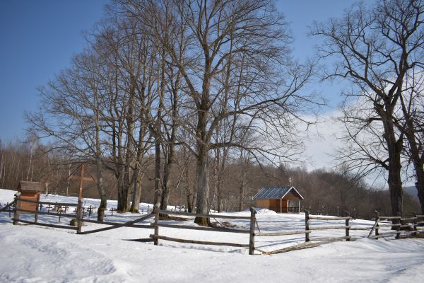 Bývalú obec Zvala pripomína tento starý cintorín