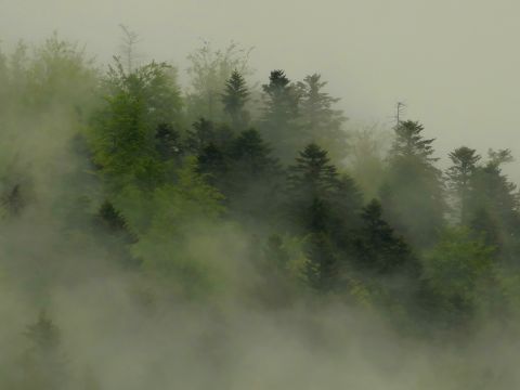 Ilustračné foto: Marek Pindroch