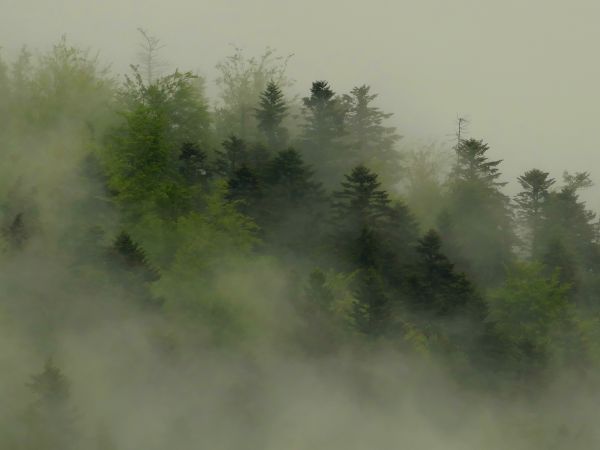 Ilustračné foto: Marek Pindroch