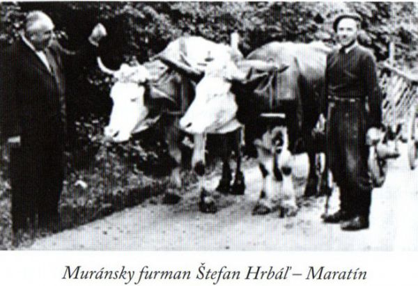 Foto mur&aacute;nskeho furmana, spom&iacute;nan&eacute;ho v čl&aacute;nku