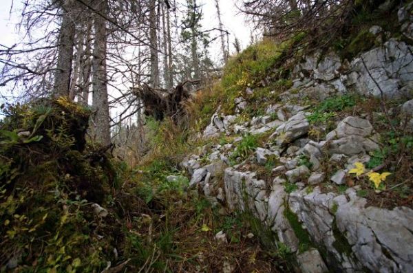 Sucho a er&oacute;zia 