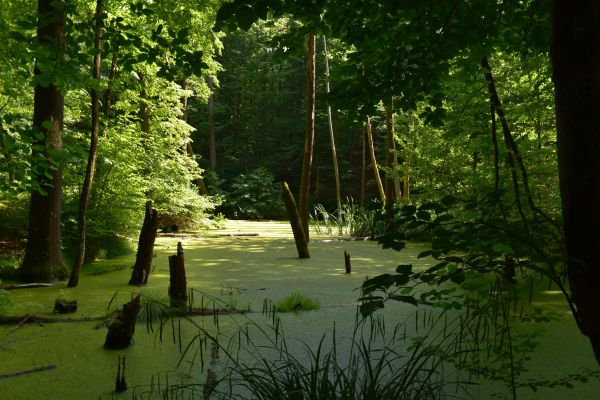 Ilustračné foto: Jozef Marko 