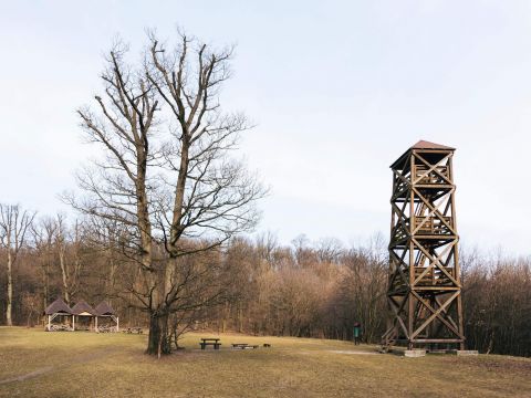 Americká lúka s rozhľadňou 