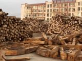 Palisandrové drevo v Dongyangu v Číne 