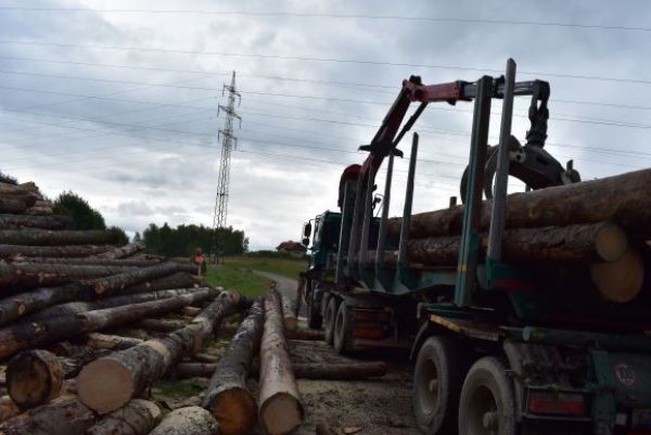 Ilustračn&eacute; foto Jozef Marko