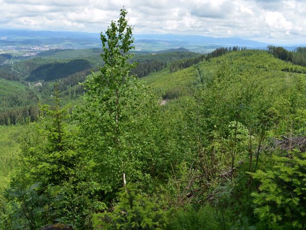 Ilustračné foto: Jozef Marko 