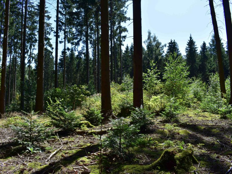 Ilustračné foto: Jozef Marko 