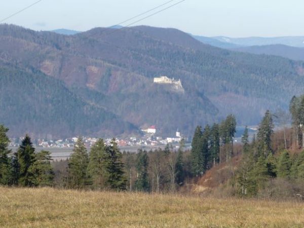 Zrúcanina Považskobystrického hradu v lesnom prostredí