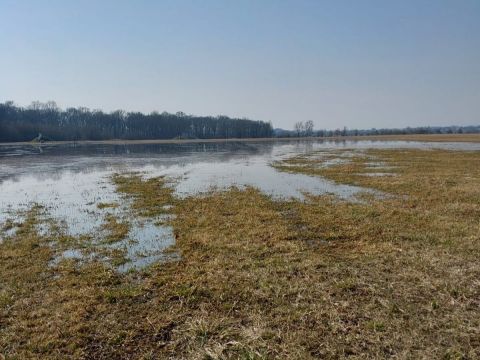 Zdroj: Internetová stránka Lesy ČR