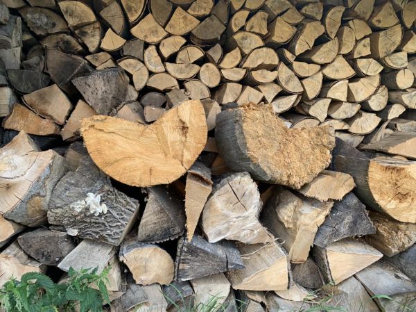 Štiepané palivové drevo 