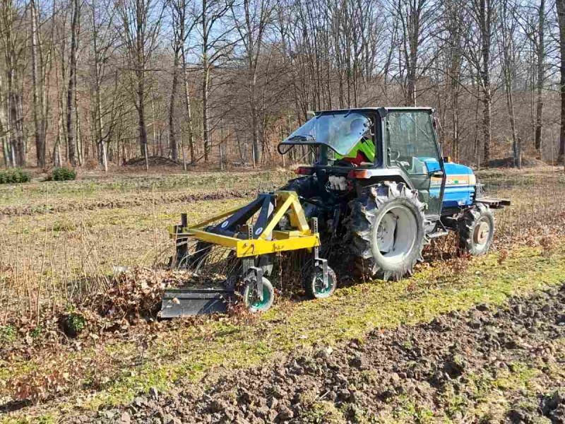 Zdroj: FB str&aacute;nka Mestsk&eacute; lesy Ko&scaron;ice 