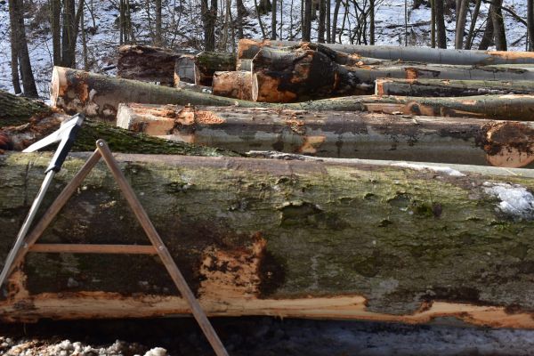 Ilustračné foto: Jozef Marko 