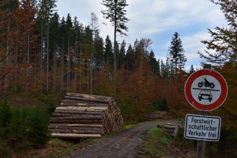 Národný park Bavorský les v Nemecku 