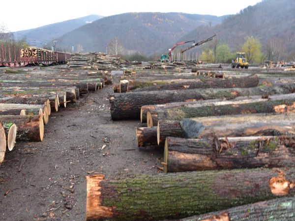 Ilustračné foto: Jozef Marko 