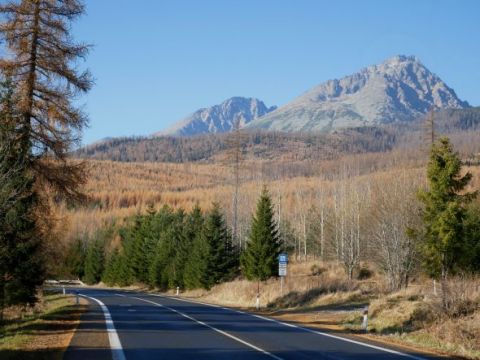 Tatranskými štátnymi lesníkmi obnovené kalamitné plochy v TANAP-e 