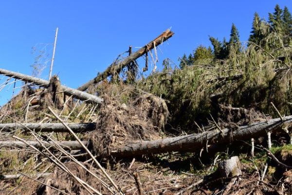Kalamitisko na Čiernom V&aacute;hu 