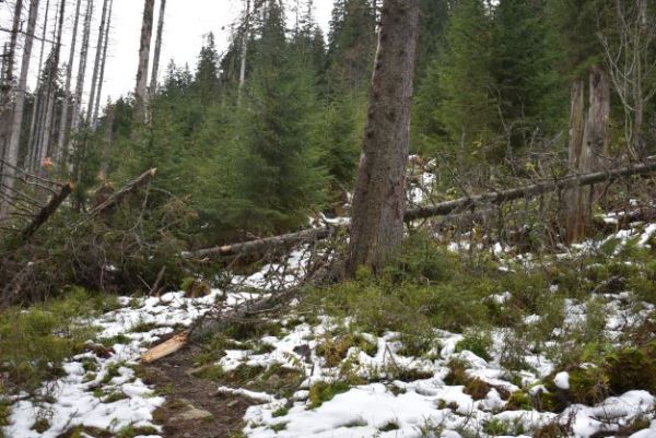 Ilustračn&eacute; foto Jozef Marko