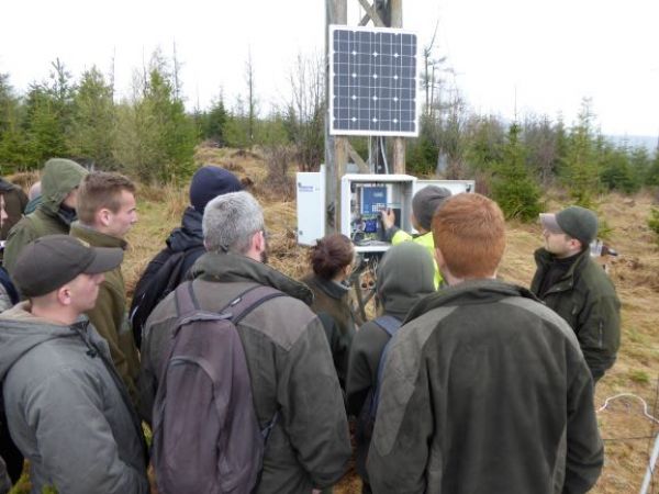 Ilustračn&eacute; foto: arch&iacute;v Lesmedium.sk