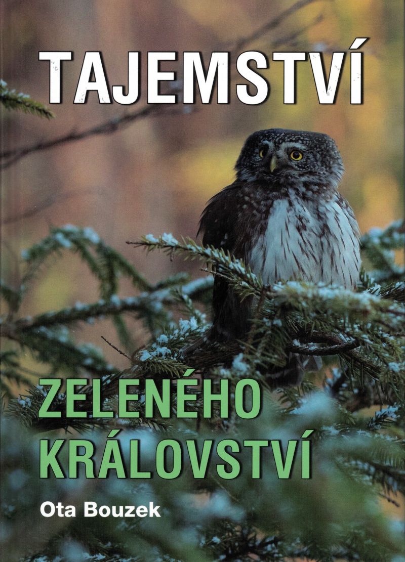 Tajemství zeleného království