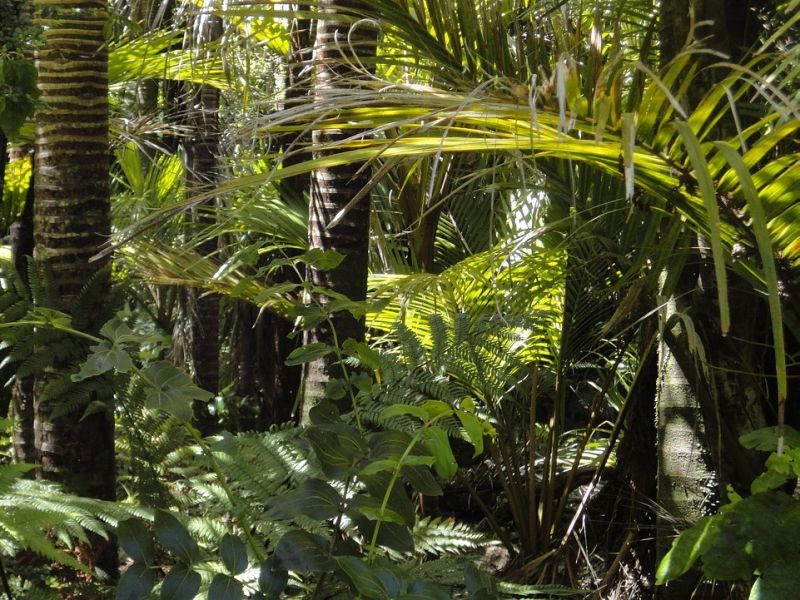 Ilustračné foto: Pixabay.com 