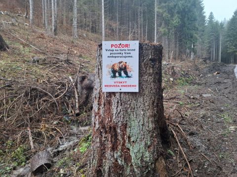 Ilustračné foto: Ing. Róbert Gombárik