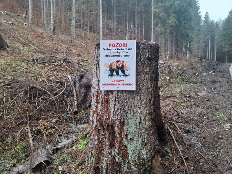 Ilustračn&eacute; foto: Ing. R&oacute;bert Gomb&aacute;rik