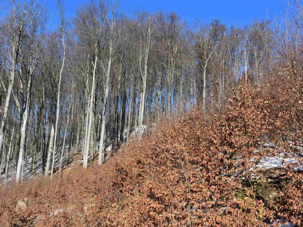 Ilustračné foto: Jozef Marko 