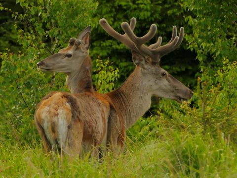 Ilustračné foto: Marek Pindroch