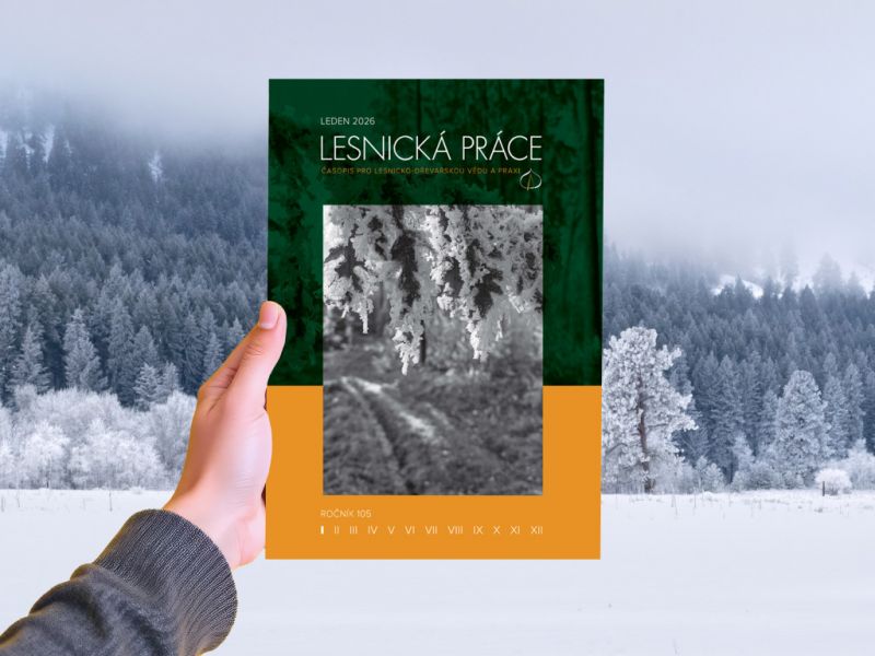 Lesnick&aacute; pr&aacute;ce 01/2026 