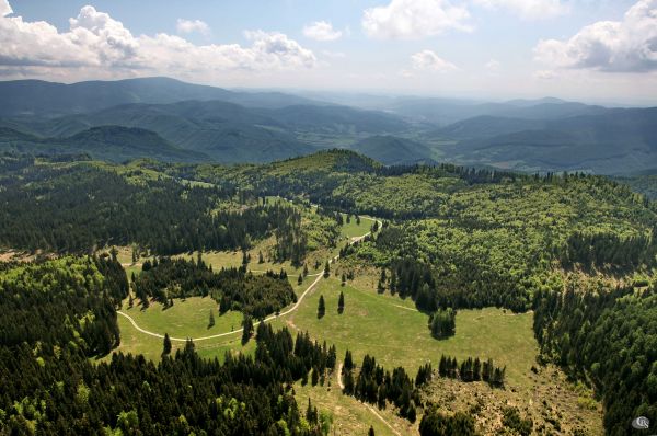 Pastviny pre norika muránskeho typu na Muránskej planine 