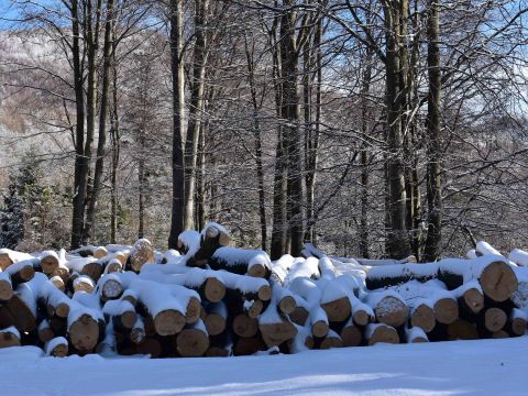 Ilustračné foto: Jozef Marko 