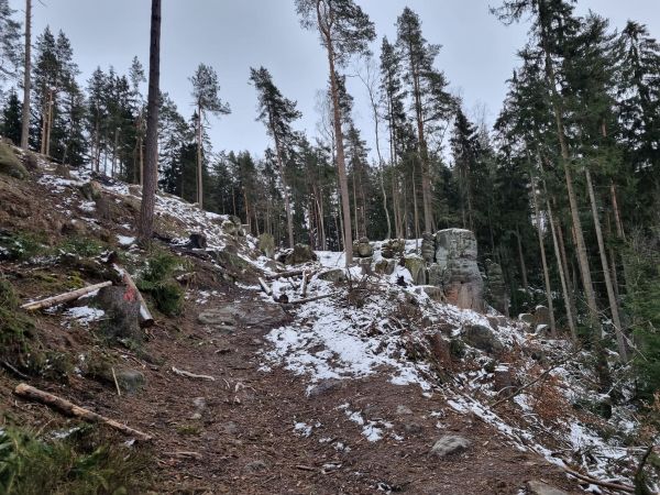 Pohľad na manažment NPR Adršpašsko-teplické skaly 