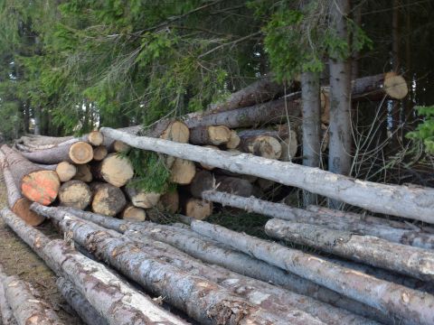 Ilustračné foto: Jozef Marko 