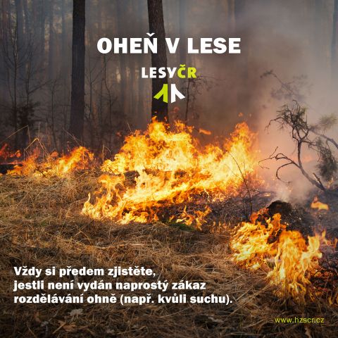 Zdroj: Internetová stránka Lesy ČR š. p. 