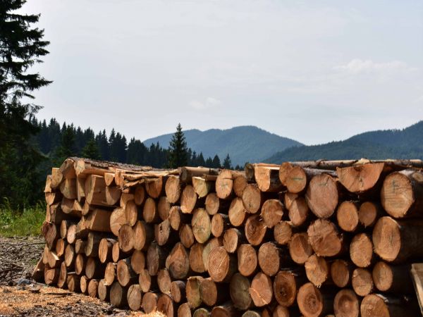 Ilustračn&eacute; foto: Jozef Marko 