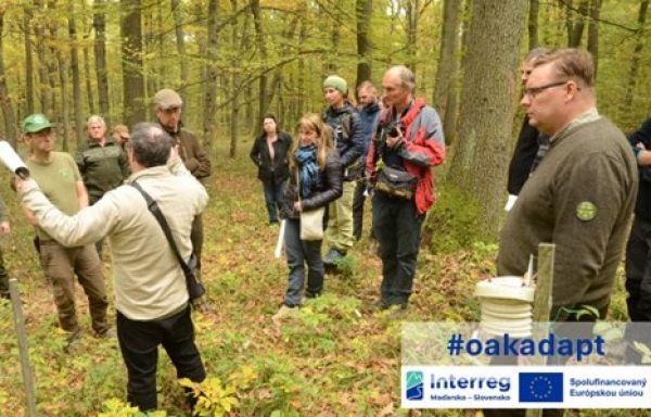 Zdroj: Mestské lesy Krupina