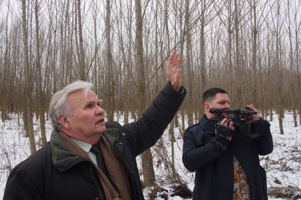 Odborník L. Varga (vľavo) a za ním energetický porast v Turni nad Bodvou, založený pred piatimi rokmi