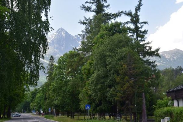 Ilustračn&eacute; foto Jozef Marko