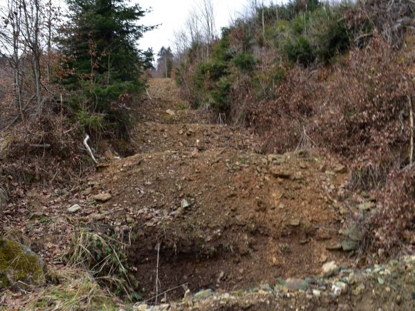 Ilustračné foto: Jozef Marko 