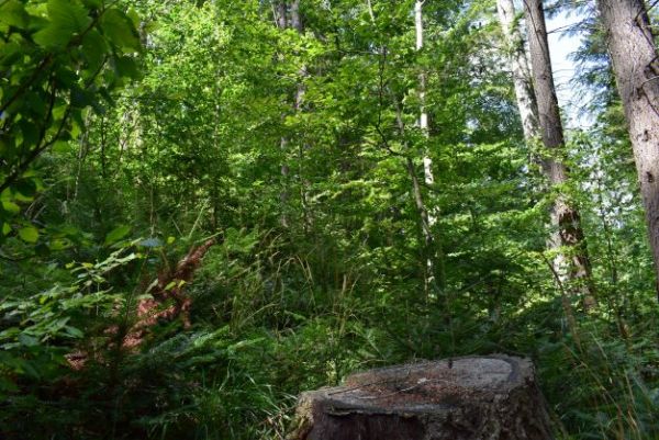 Ilustračné foto Jozef Marko