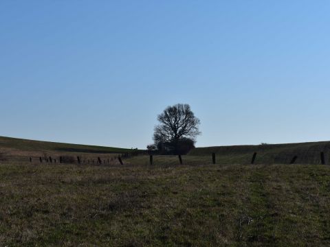 Ilustračné foto: Jozef Marko 