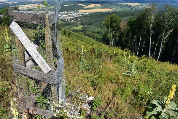 Obhospodarovateľom lesov rastú náklady aj na ochranu sadeníc