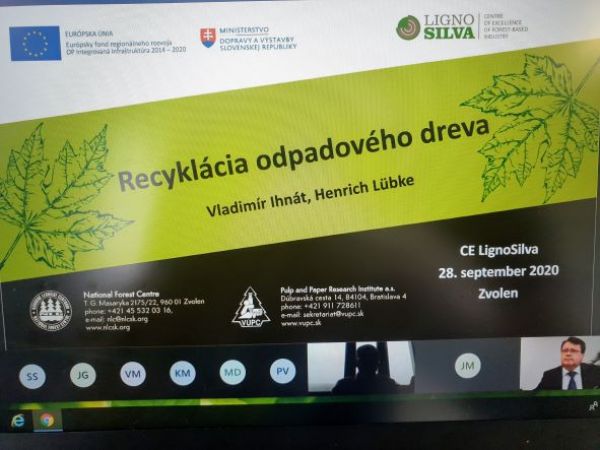 Ukážka priebehu konferencie v on-line prostredí 