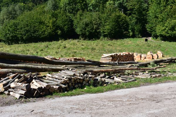 Ilustračn&eacute; foto Jozef Marko