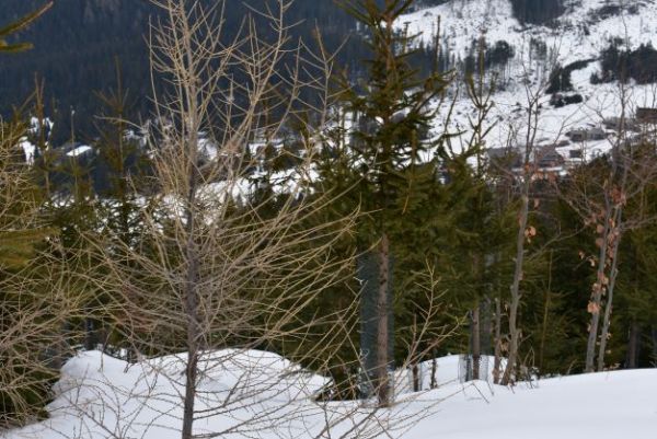 Ilustračn&eacute; foto Jozef Marko